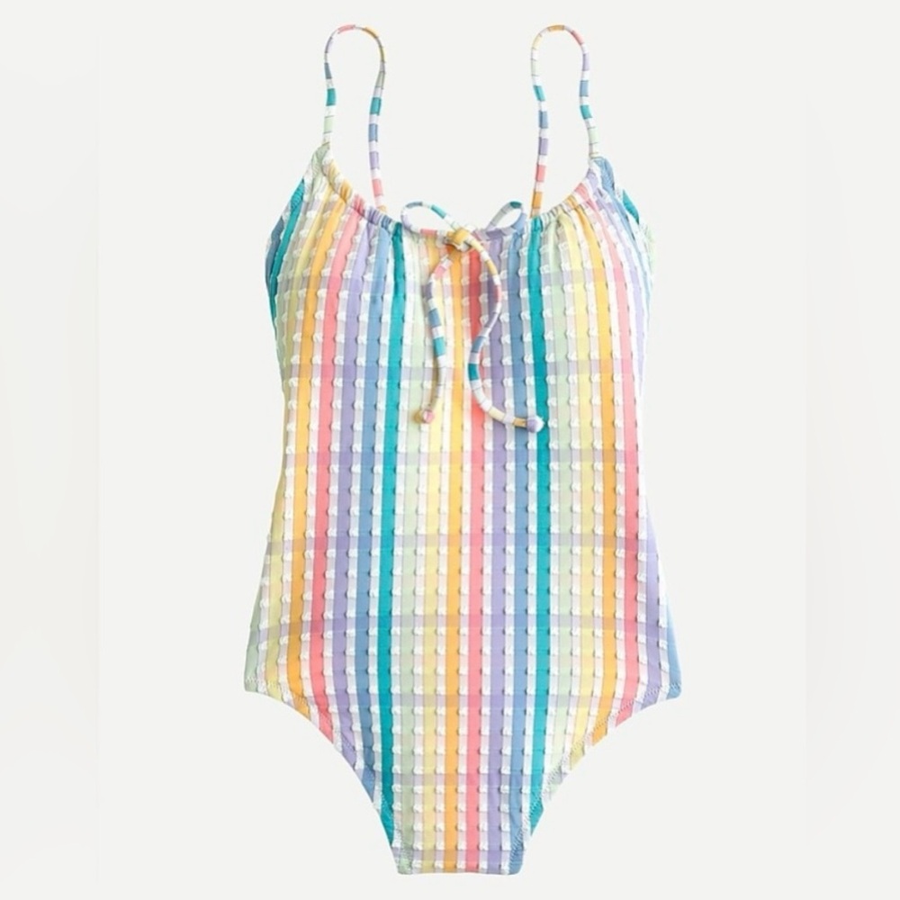 J.Crew Seersucker Gingham Stripe One-Piece Swimsuit Womens size 2 NWT